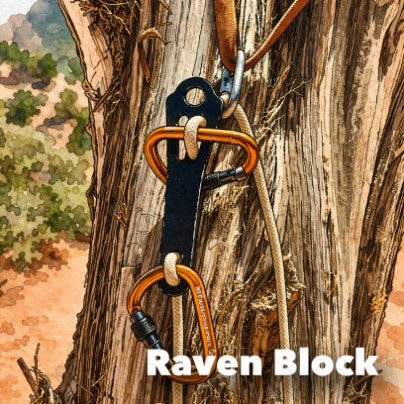 The Raven
