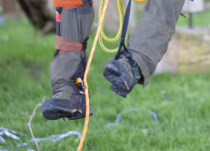 Petzl PANTIN CLICK