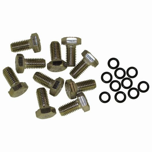 Raumer Captive bouten M8x16 RVS - set van 10