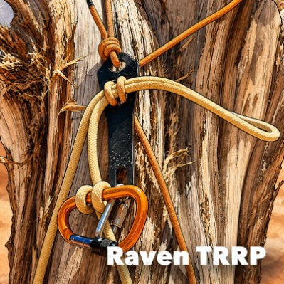 The Raven